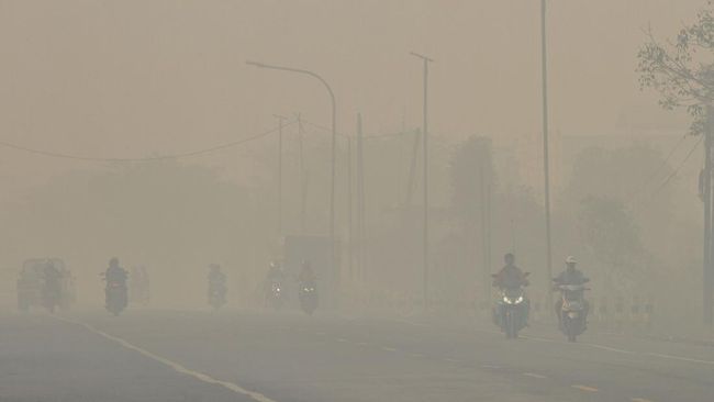 Kalimantan dan Sumatra Dominasi 10 Besar Polusi Udara, Cek Sebabnya